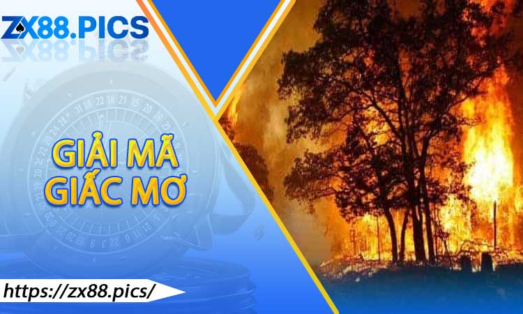 Chi Tiết Giấc Mơ